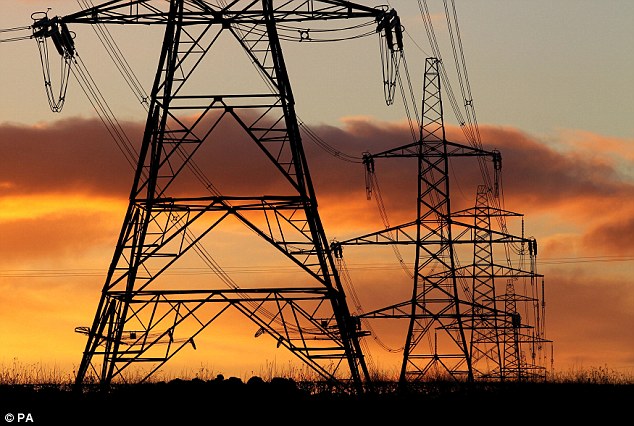 Network: National Grid is spending £36million on emergency measures to ensure the power supply doesn't fail