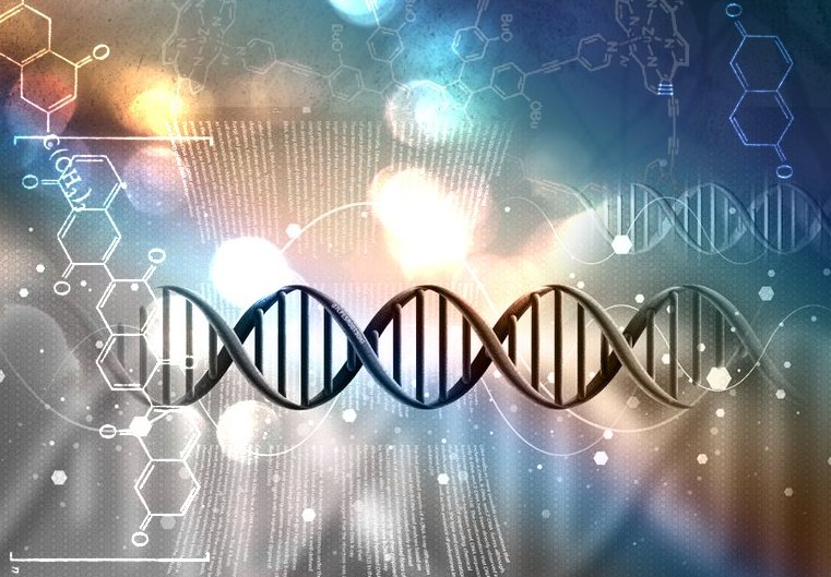 Frequency, DNA, And The Human Body