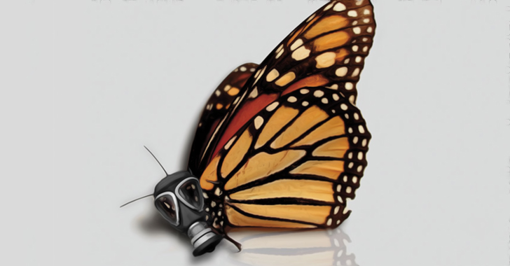monarch-butterfly-population-down-80-monsanto-largely-to-blame
