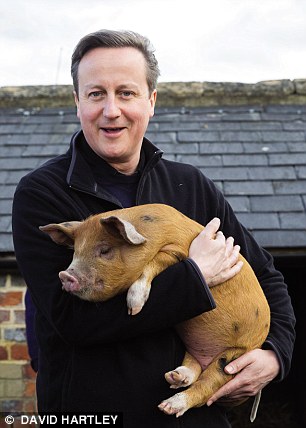 A distinguished Oxford contemporary claims Cameron once took part in an outrageous initiation ceremony involving a dead pig while at university. The PM is pictured holding a pig in recent years