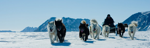 EconEdLink-795-Sled-Dogs-Inuit-Economy