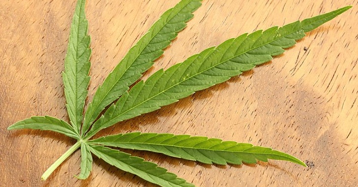 cannabis-leaf1