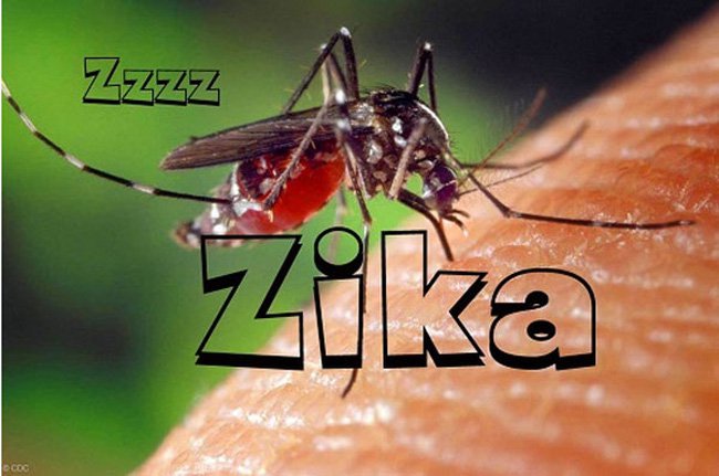 zika-290116-1454038427907