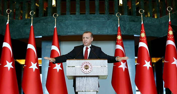Turkey's President Tayyip Erdogan addresses the audience during a meeting in Ankara, January 12, 2016.