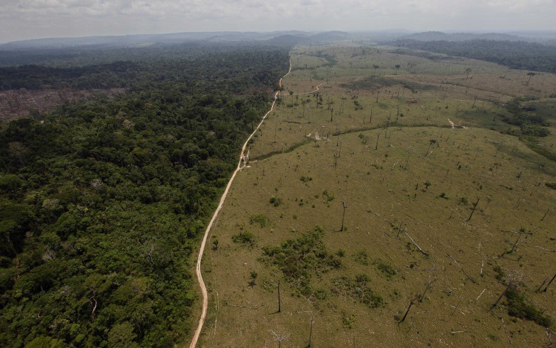 A road marks dividing the photo a stark contrast between a lush, green rainforest to its left and an almost completely deforested area to the right.