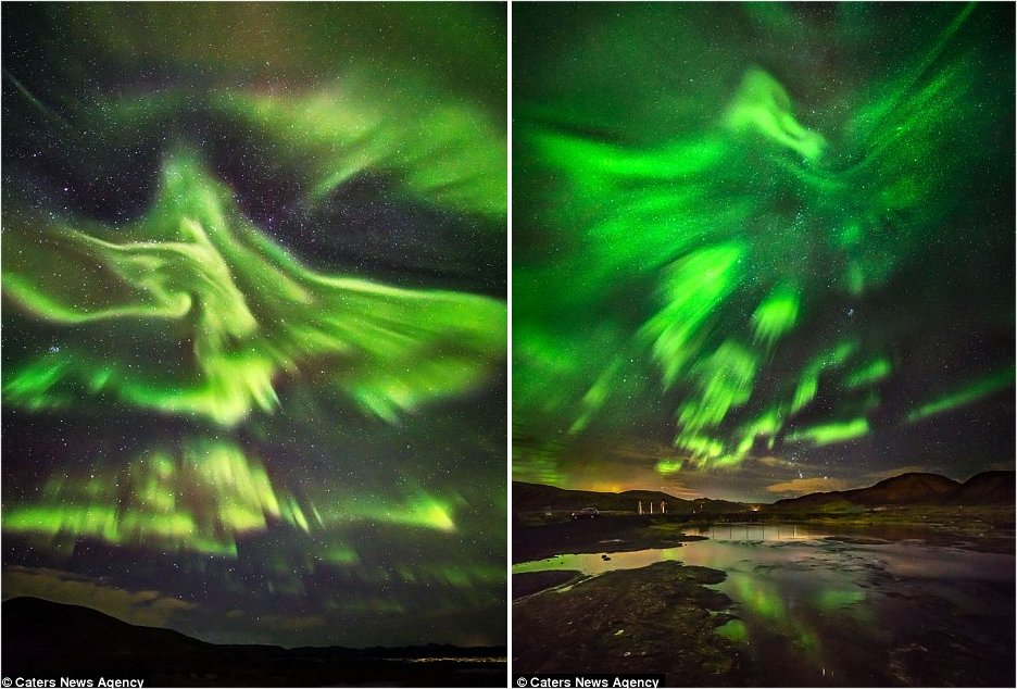 The animal shape formed among the famous lights was captured by photographer Hallgrimur P Helgason