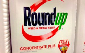 Monsanto's 'probably carcinogenic' Roundup on open retails sale. Photo: Mike Mozart via Flickr (CC BY).