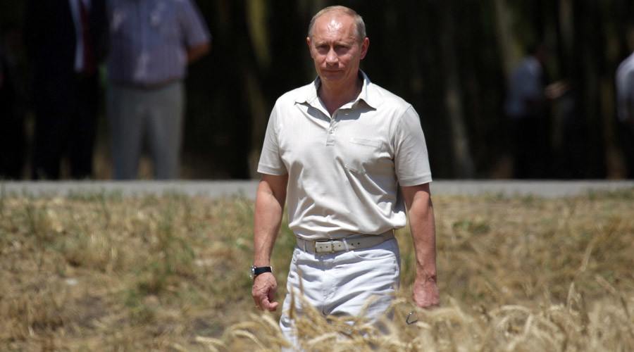 President Putin walks through wheat field in southern Russia's Krasnodar Region © RIA Novosti