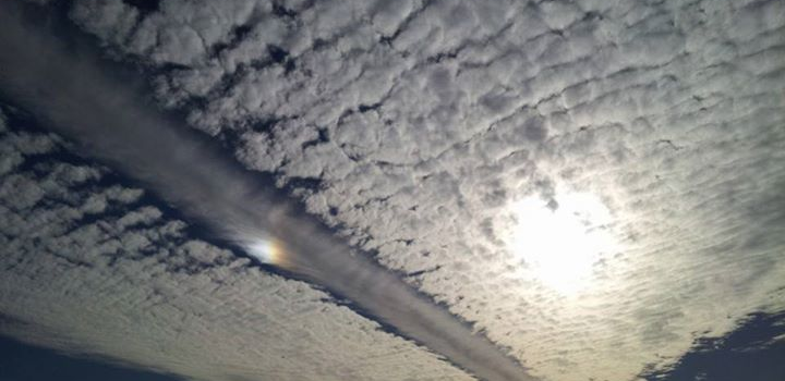 Top scientists publishes paper confirming aluminium poisoning via chemtrails is real