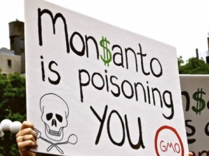monsanto-poisoning-you