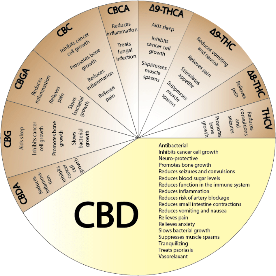 CBD benefits