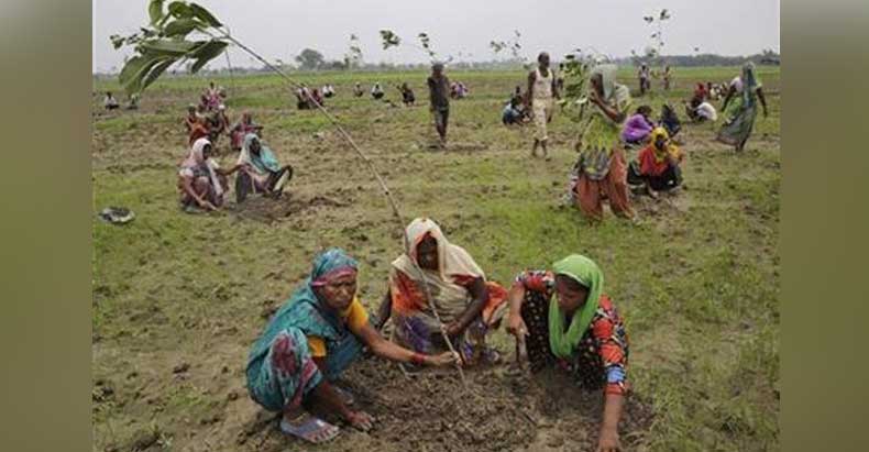 india-planting-trees