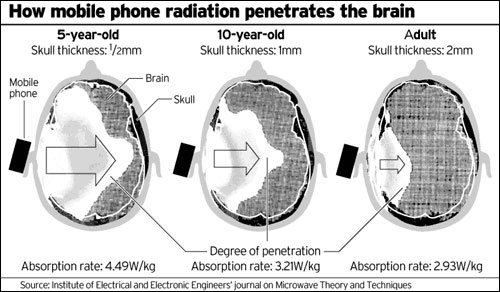Mobile Phone Radiation