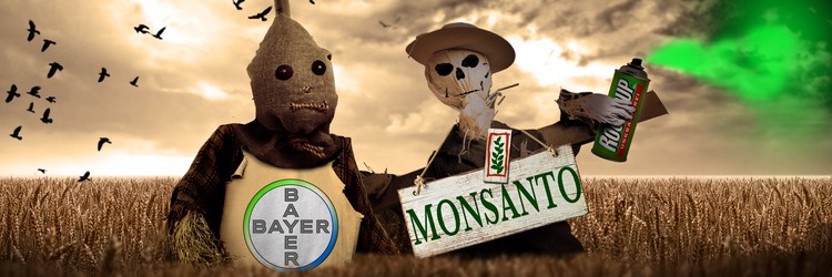 Image result for Bayer Monsanto