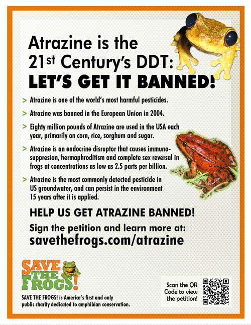 Flyer-Atrazine-a-500.jpg