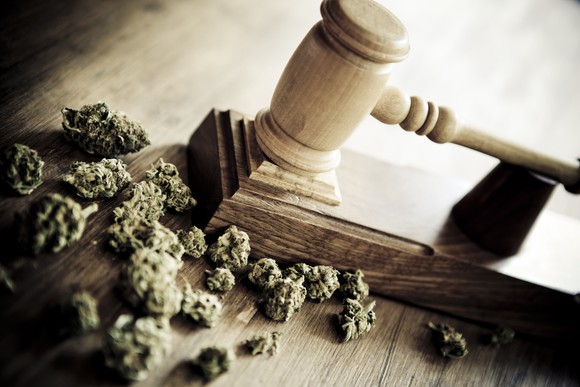 Marijuana Buds With Gavel Laws Legality Getty