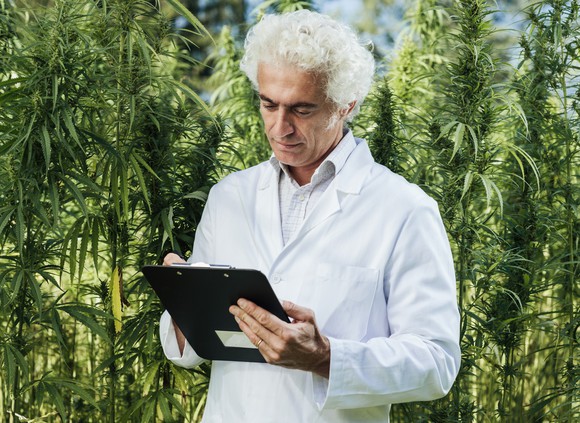 Scientist Writing On Clipboard Marijuana Cannabis Getty