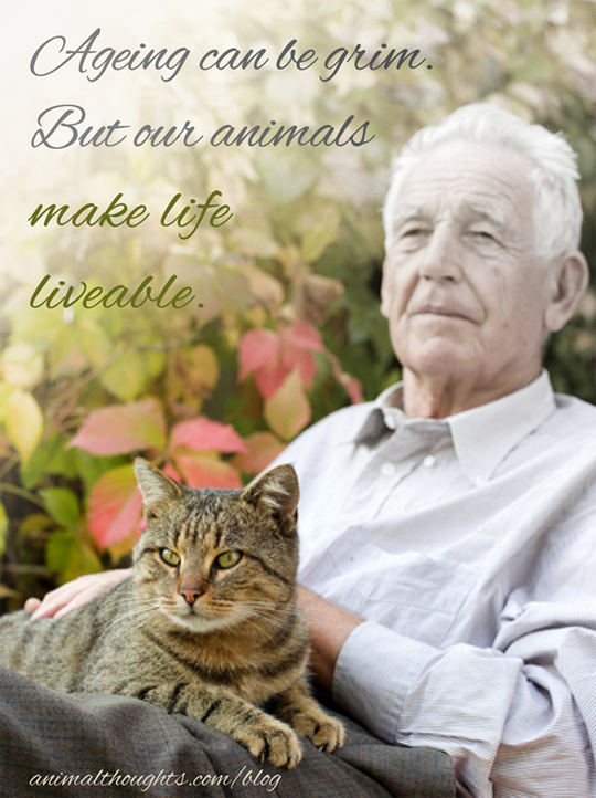 Image result for Elderly people with animals