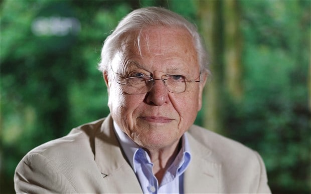 Humans are plague on Earth – Attenborough