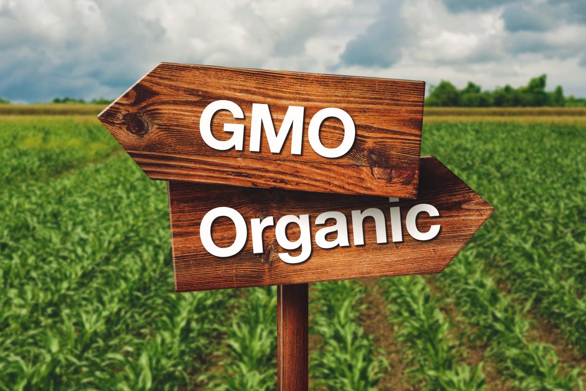 Image: Indian state will pay farmers to go 100% organic and GMO-free