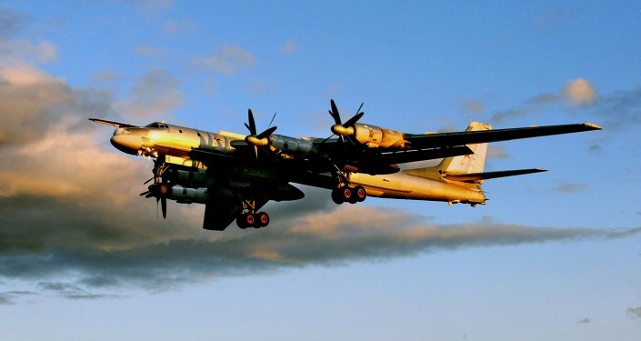 Tu-95MS strategic bomber