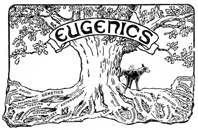 Image result for eugenics