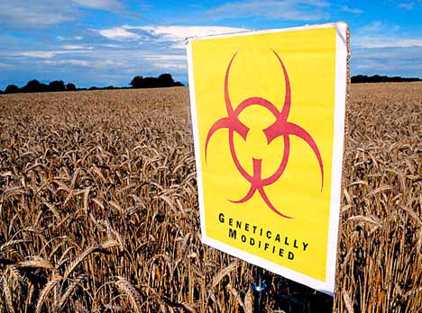 GMO Debate [1]: The Curse of Monsanto