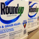 Roundup-and-cancer