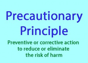 precautionary-principle