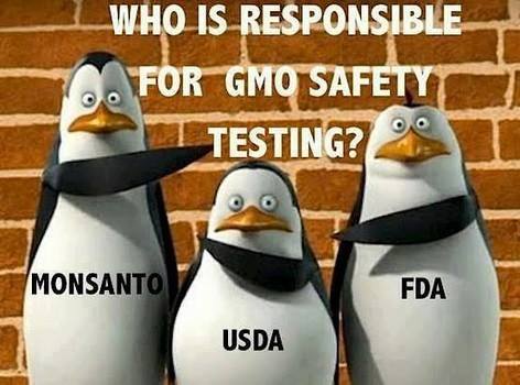 whose-responsible-for-gmo-safety