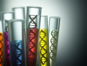 worldwide DNA database