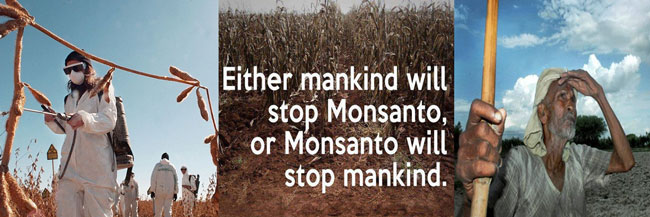 http://circkles.com/SpecialEds/Monsanto-vs-%20mankind.jpg