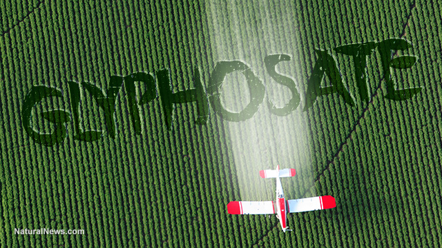 Image result for Glyphosate