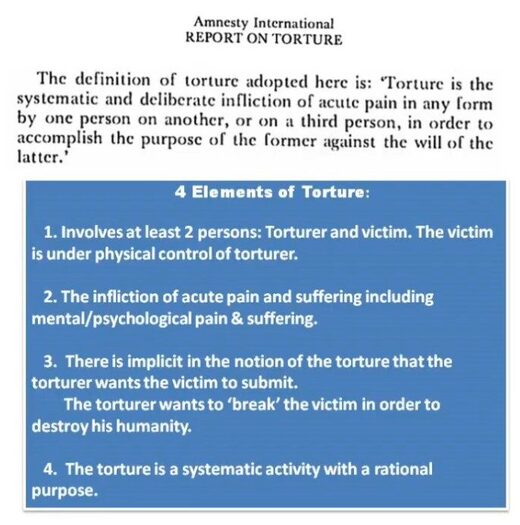 4 elements of torture