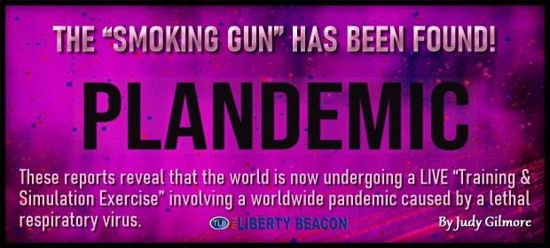 Plandemic - The Smoking Gun Has Been Found - FI 08 14 20-min