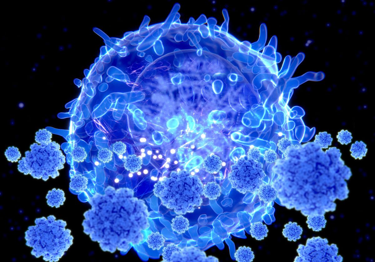 SARS-CoV-2-Reactive T Cells Found in Patients with Severe COVID-19 | The Scientist Magazine®