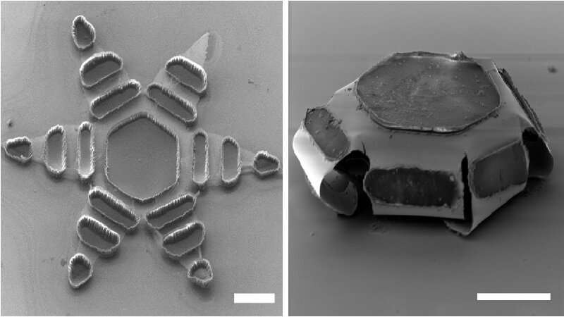 Researchers engineer tiny machines that deliver medicine efficiently