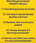 out-immune-system.jpg